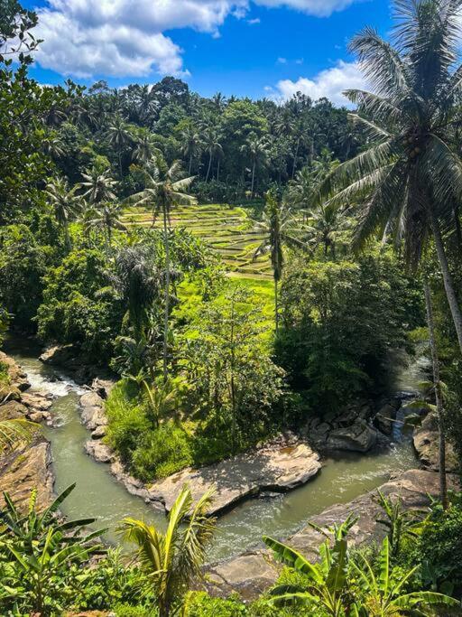Ubud Riverside Villa Exterior foto