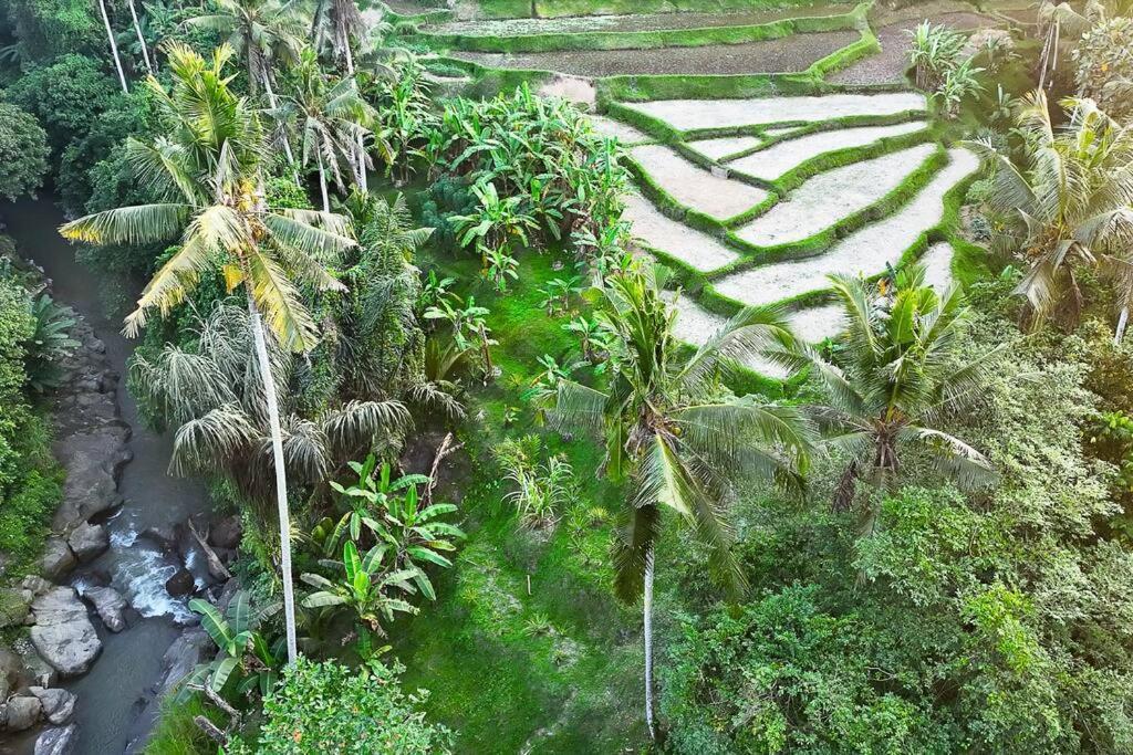 Ubud Riverside Villa Exterior foto